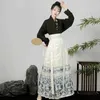 Vêtements ethniques Femmes Ming Dynastie broderie demi-jupe vintage Hanfu Clothing Jirt Chinois Style Tradition