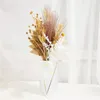 Fleurs décoratives Mariage naturel Fleur séchée Pampas Grass Bouquet pour une salle de décoration de chambre boho table basse décoration maison