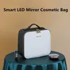 Kosmetiktaschen Smart LED Make -up -Hülle Reiseausflug tragbare professionelle Tattoo -Werkzeugtasche für Frauen