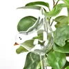 Plantas de rega de planta plantas de água Bulbos de água Forma de pássaro Dispositivo de rega glassplásico transparente 240429