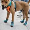 Vêtements pour chiens chaussures de chiot durable