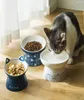 Ciotole di gatto alimentatori alto piede ciotola per ciotola protettore per alimenti per alimenti per alimenti per alimenti per alimentari anziovertering fornitura di distribuzione di contenitori 5661576