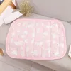 Été cool Pet Pad Contact Cold Pad Dog Chénnel Pet Pet Ice Pad Cat Pad Dog Dog Pad Supplies Pet 240423