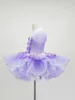 Stage Wear Kindergarten Costume Brify Skirt Performance for Girls Purple Paughe Gauze Princess