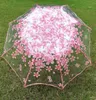 Fiori trasparenti romantici a bolle a bolle Dome Designer carino GOTH ombrello mezzo automatico per il vento pioggia pesante Donne del sole ombrello H6070807