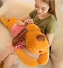 Nouveau chien Doll Puppy chiot chien en peluche Toy Grab Machine Doll Scissor Machine Machine Pollow Throw Wholesale