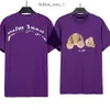 Mens Palm Ange Designer Palm Broken Bear Bear Classic футболка для женских футболок роскошные футболки T Рубашки с коротким рукавом повседневные летние пляжные топы одежда 566