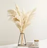 Pampas Decor d'herbe Couleur blanche Fluffy Fleurs séchées naturelles Bouquet blanchi Boho Style vintage pour le mariage Décor de Noël Home2383561