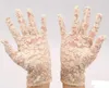 Bridal Evening Wedding Party Sheer Lace Gants Costume Costume Mittens Evening Fancy Dish Prom Christmas Faven White Ivory Black 6629872