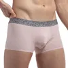 Sous-pants Modal Men Underwear Boxer Shorts en coton Great Homme sans couture sexy pour hommes