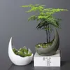 Plantadores pots rinocerontes chifre em forma de cerâmica vaso verde planta verde cacto suculento bonsai decoração caseira q240429