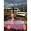 Veet Sheer Neck Mermaid Rosa Abiti da ballo Black Girls Feathers Nappellini per le nappe della festa di compleanno Elegante abito formale