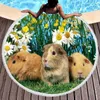 Leuke cavia ronde strand handdoeken olyester zandbestendige sjaal stranddekensoft absorberende snelle droge zwembad handdoek picknickmat 240422