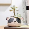Piantatrici pentole 1 stile nordico ceramica animale fiore cartone animato panda testa di mucca mini pianta bonsai decorazione per la casa q240429