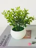 Decoratieve bloemen 1PC Simulatie Aloë Mini Pot Plant Display Mold Bonsai voor thuistafel Decor