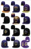 Sun Basketball Caps Caps de tricotar o verão ajustável Snapback Sport Hats Team Hip Hop Street Summer Stitched Russell Westbrook Austin Reaves Johnson7493284