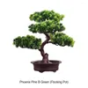 Fleurs décoratives vertes vertes polyvalentes artificielles arbre intérieur projette une durabilité durable plante en pot