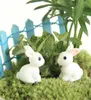 Fairy Garden Miniature Rabbit Bunny White Color Artificial Mini Rabbits Decors Resina Artesanato de Bonsai Decors Bunny2642656