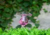 Vasen schöne Glas Wasserer Selbstbewässerung Globes Vogelform Hand geblasen klare Aqua -Glühbirnen Pflanzen Pilze Design4187006