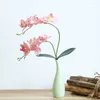 Dekorative Blumen künstliche Blume Phalaenopsis Single Ast mit Stiel und Blatt gefälschte Hausdekoration Garten Hochzeit DIY Vase Accessoires