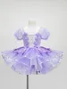 Stage Wear Kindergarten Costume Brify Skirt Performance for Girls Purple Paughe Gauze Princess