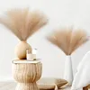 Fleurs décoratives fausse pampas herbe beige 10pcs petit décor de pompas artificiel pour vase faux moelleux de mariage floral moelleux boho