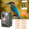 2G Hunting Trail Camera 20MP 1080p MMSPSMS Wireless Wildlife Cameras PO Traps HC801M Night Vision Hunter Chasse 240423