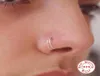 Nouveau segment de 8 mm anneaux Hoop Eore Piercing Tragus 925 Silver Nose Ring Luage Tragus Sexy Body Jewelry Nariz5084997