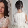 Veaux de mariée Veille de mariage Pas de peigne pour les enfants accessoires de cheveux filles en tulle transparent avec des accessoires en dentelle PO