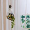 多肉植物のための花瓶電球形状の完璧なガラス花瓶容器