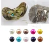 Double Pearls 30 Colori 67mm Twin Pearls in Oysters d'acqua salata Akoya Oysters Dty Gioielli che producono regali per Lover3549595