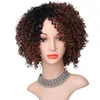 curly hair fiber Wig wig womens style wigs chemical gradient headgear short