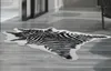 220170cm Zebra Animal Tapis imprimé VELVET IMITATION CUIR Tapes fourrure Piche animale Naturel Carpets Mattes non glissières8137353