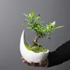 Plantadores pots rinocerontes chifre em forma de cerâmica vaso verde planta verde cacto suculento bonsai decoração caseira q240429