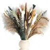 Fleurs décoratives 80pcs Pampas Grass Natural séché phragmites eucalyptus bouquet bohème décor de la maison de beauté ornements de fête de mariage