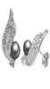 VOTTESSFS 6 PARESSET ZIRCON FEATHER BLACK PEARL STAD EARRS FEMME BIELLIE DE MASE 18K GOLD5483186