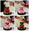 Eternal Preserved Rose Fresh Rose Lovely Teddy Bear In Heart Glass Dome with Led Home Decor Wedding Mothers Day Gifts for Women 240418