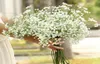 Nuevo hermoso GypSophila baby039s Breath Breath Flow Silk Flowers Planta Decoración de la fiesta de bodas en el hogar 100pcs Epacket 8132850