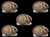 5pcs Navy Marines Challenge Coin Craft Shellback Crossing The Line Marine Corps Military 1oz Copper Badge4881731