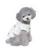 Appareils pour chiens 2024 automne d'automne hiver à deux pattes en coton en peluche