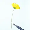 Dekorativa blommor 10-14 cm/12st Golden Chrysanthemum gren sidotryck Margarita gul diy klistermärke bildram dropplimtelefonfodral
