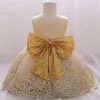 Vestidos Big Bow Flower Champagne 1Srt Cumpleaños Vestido Baby Girl Cloth Princess Party Baptismo Vestido Vestidos Infantos Disfraz