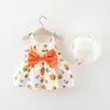 Девушка платья 2pcs Summer Baby Girl's Платье маленькое круглое Dot Strawberry Print Bow Bow Daily Casual с шляпой