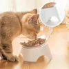 Nonslip Cat Bowl Pet Water Food Feed Dog Bowls Pet Bowl med lutning Stand Katter Matare Matningsskål Kattunge levererar 240429