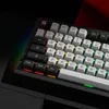 Akko 5075b Plus Castle 75% Teclado de jogo mecânico 35 pinos Troca de três modos RGB 2.4GHz WirelessB tipo CBT 5.0 240415