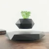 Doniczki garnki HomeProduct Wyświetlacze Air Bonsai Pot On Rotating Plants Magnetyczne zawieszenie Dekoracja kwiatów Q240429