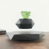 Planters Pots HomeProdukt DisplaySuspended Air Bonsai Pot Rotating PlantsMagnetic Suspension Flower Decoration Q240429