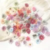 Decorative Flowers 50/100pcs Artificial Small Daisies Home Deco Wedding Decoration Fake Flower DIY Garland Craft Jewelry Bridal Accessories