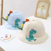 Caps Hats New Cartoon Dinosaur Summer Baby Hat Girl Panama Childrens Wide Brim UV Beach Sun Hat Outdoor Childrens Fisherman HatL240429