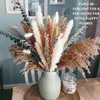 Fleurs décoratives 80pcs Pampas Grass Natural séché phragmites eucalyptus bouquet bohème décor de la maison de beauté ornements de fête de mariage